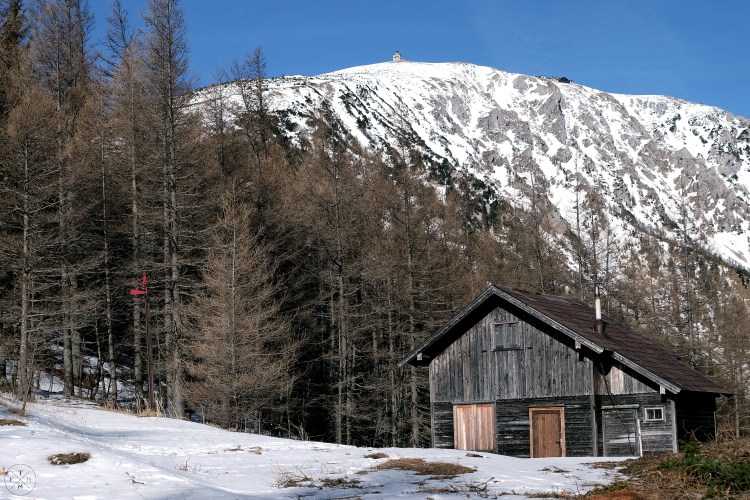 2017_03_17_Baumgarten