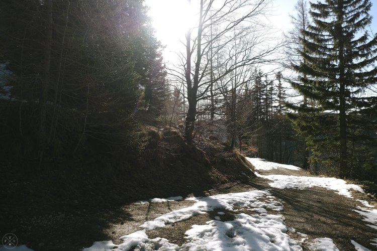 2017_03_17_Forstweg Schneeberg