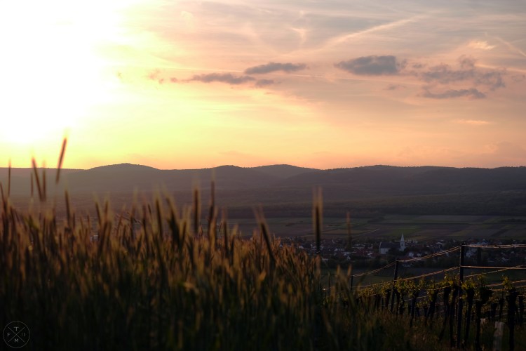 2017_05_16_Sonnenuntergang Schützen