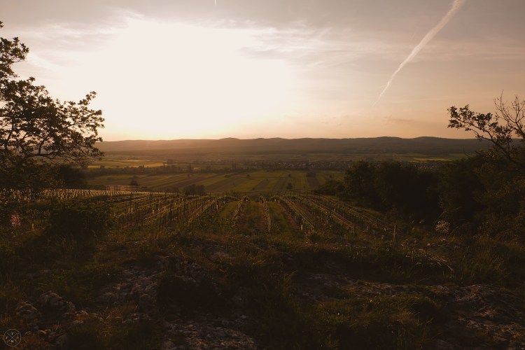 2017_05_24_Sonnenuntergang Leithaberg