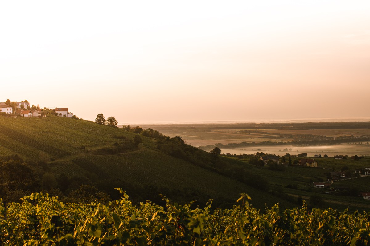 VERTRÄUMTES SÜDBURGENLAND
