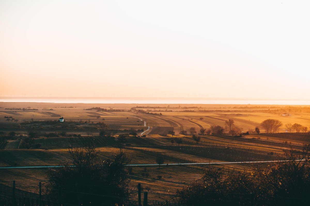 Das Frühlingserwachen am Westufer des Neusiedler&nbsp;Sees